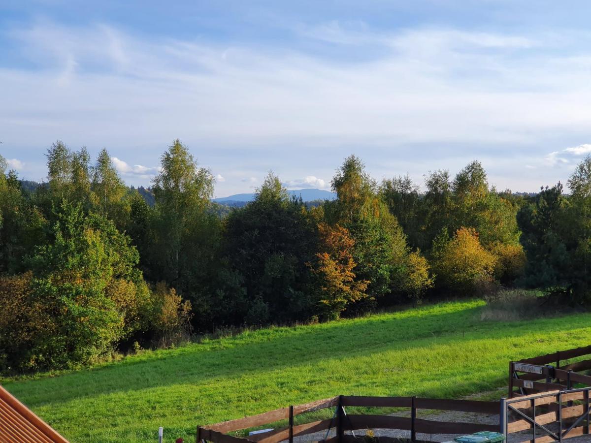 Villa Tarnawa Gold, Sauna, Bilard, Grota Solna, Tarnawa Dolna (Lesser Poland)